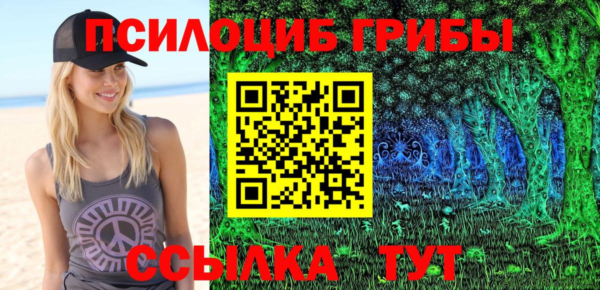 Псилоцибиновые грибы прущие грибы  Вход с VPN  закладки  Богородск  Псилоцибиновые грибы мицелий 