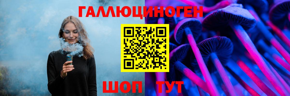 Галлюциногенные грибы Psilocybe Богородск